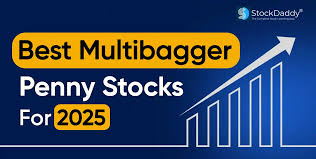 Multibagger 2024