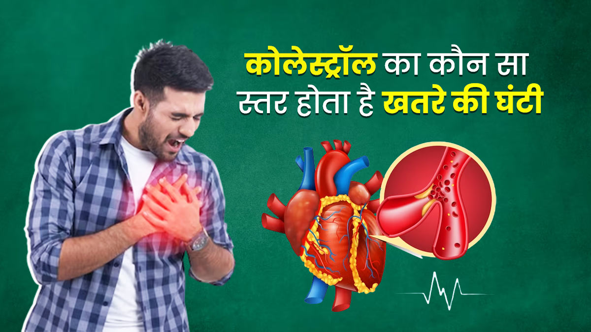 कोलेस्ट्रॉल क्या है