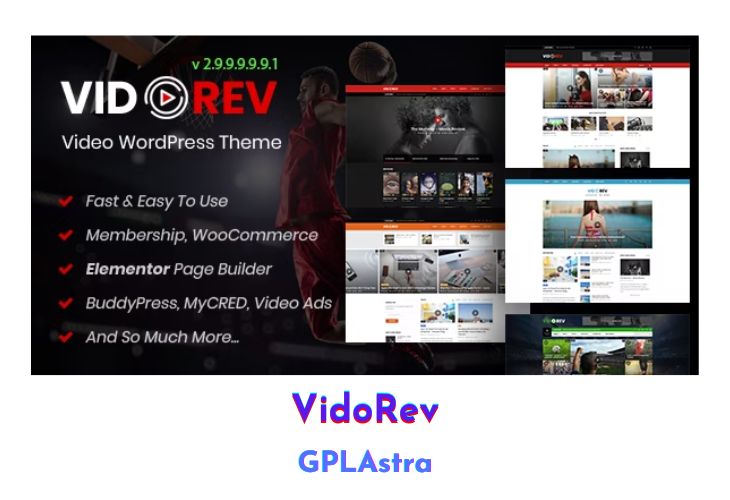 wordpress theme vidoRev